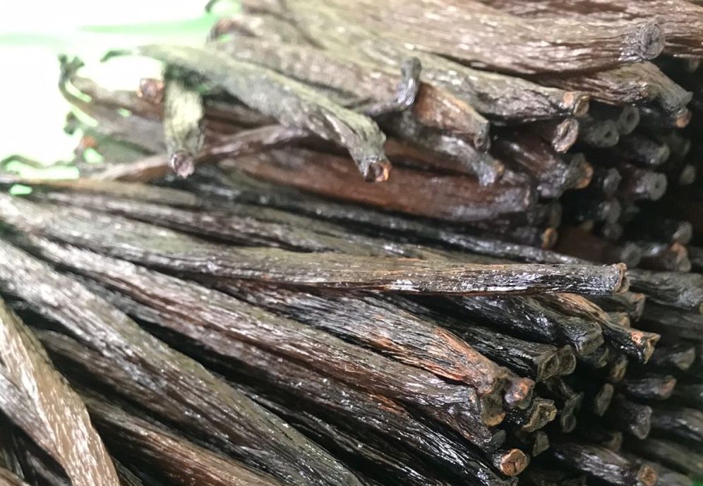 Cara Mengolah Vanilla Bean Supaya Bisa Digunakan Untuk Memasak