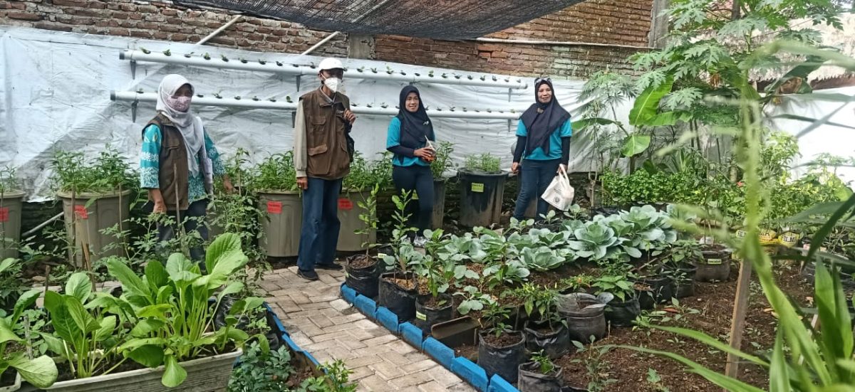 Lomba Urban Farming, RW X Pandanwangi “All Out” Wakili Kelurahan Pandanwangi