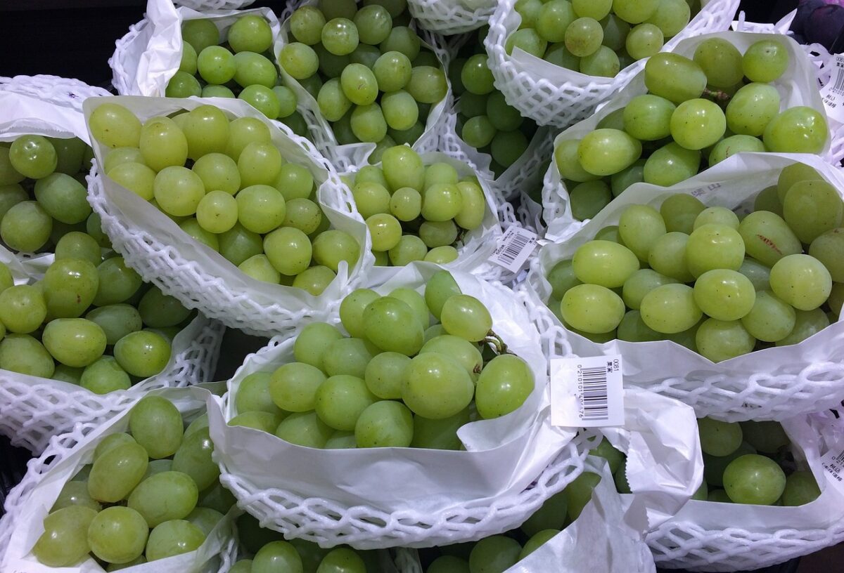 4 Keunikan Anggur Muscat