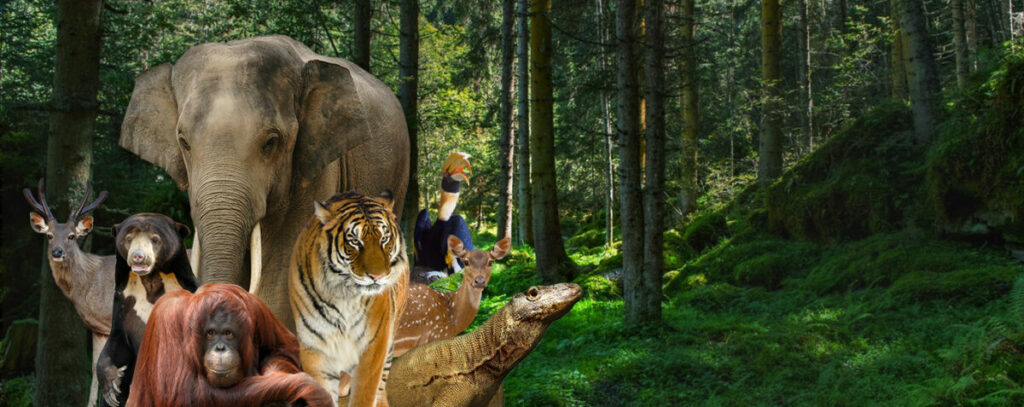 Jadwal dan tiket masuk Kebun Binatang Ragunan
