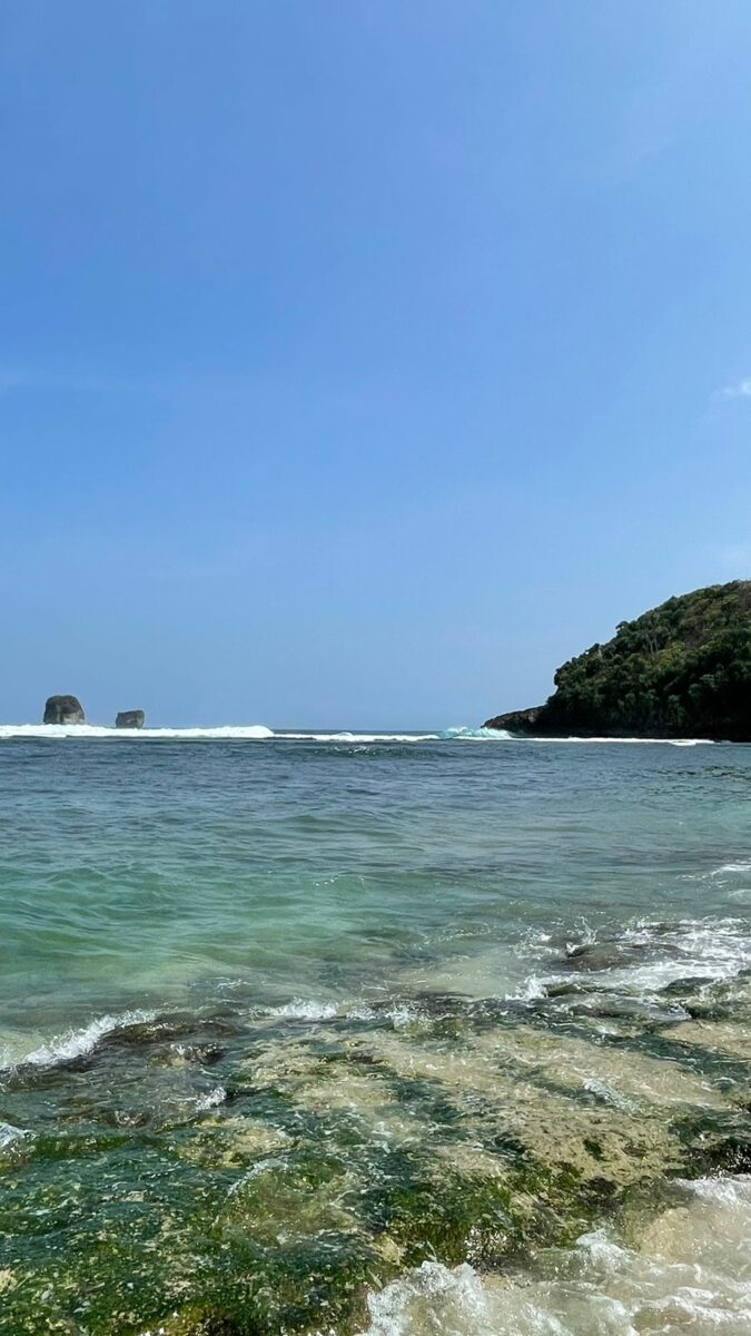 WhatsApp Image 2024-07-08 at 14.45.35 Bukit yang menyerupai seekor penyu di pantai Tanjung Penyu Malang